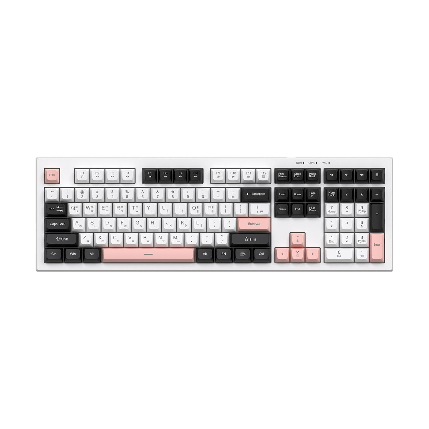 COX CMK108 3TONE 멤브레인 키보드 Olivia